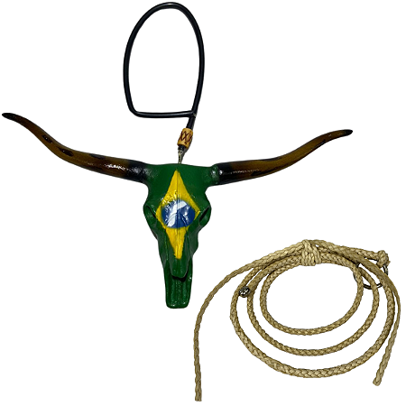 Enfeite De Retrovisor Long Horn Brasil + Mini Laço